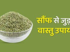 घर की इस जगह रखें एक मुट्ठी सौंफ, तनाव होगा दूर और आएगी सुख-शांति