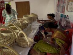 सफलता की कहानी : पारंपरिक हस्तशिल्प उत्पाद बना आजीविका का साधन