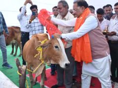 राज्य में गोधन संरक्षण को नई दिशा : गोमाता की पूजा-अर्चना कर CM साय ने ग्राम लाखासार में गौधाम का किया शुभारंभ