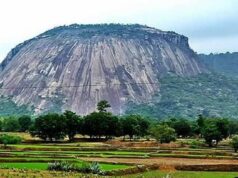 उत्तर-पूर्वी छत्तीसगढ़ का अनोखा पर्यटन: जशपुर के चाय बागान और सोगड़ा आश्रम की खूबसूरती