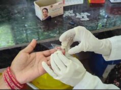 बस्तर में मलेरिया से निपटने की राष्ट्रीय तैयारी, मेडिकल कार्यशाला में बताए बचाव के उपाय