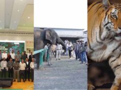 पन्ना में MP का पहला वन्यजीव-केंद्रित CSR कॉन्क्लेव, संरक्षण के लिए वन विभाग-उद्योग जगत साथ आए