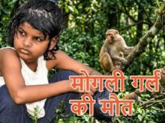 बंदरों के बीच मिली बच्ची की दर्दनाक कहानी का अंत, नहीं रहीं एहसास