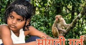 बंदरों के बीच मिली बच्ची की दर्दनाक कहानी का अंत, नहीं रहीं एहसास