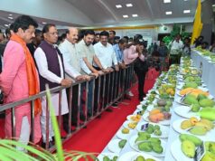 धनबाद आमोत्सव में दिखा जापानी मियाज़ाकी आम का क्रेज, कीमत 3 लाख रुपये किलो