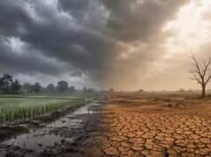 आधी बारिश, सूखा जून! अल नीनो के असर से देश ने देखा सबसे खराब मॉनसून का दौर