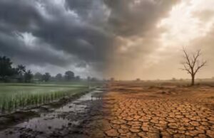 आधी बारिश, सूखा जून! अल नीनो के असर से देश ने देखा सबसे खराब मॉनसून का दौर