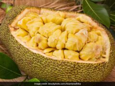 कटहल के बीज नहीं फेंके! सेहत और स्वाद का पावरहाउस हैं ये