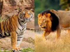 उदयपुर के जयसमंद क्षेत्र में ऐतिहासिक वन्यजीव क्षरण: एक अध्ययन