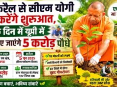 एक पेड़ मां के नामः 5 करोड़ पौधे लगाएगा यूपी