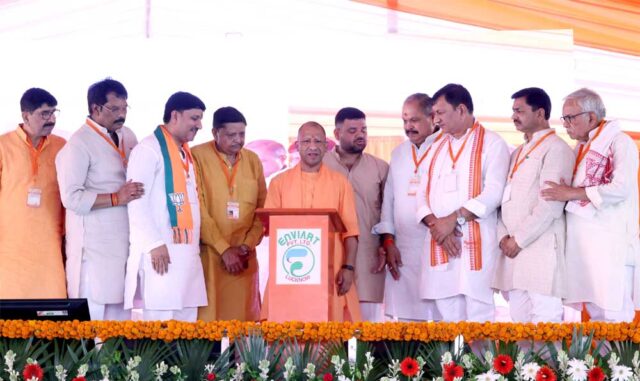 Yogi_01-2.jpg