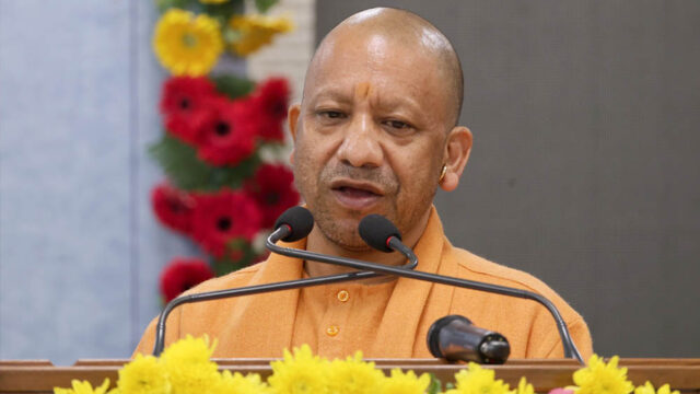 yogi_133_1-2.jpg