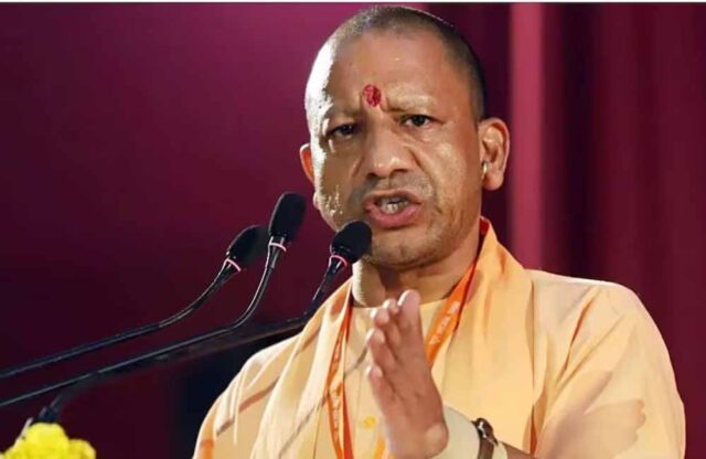 yogi_60_2-1.jpg