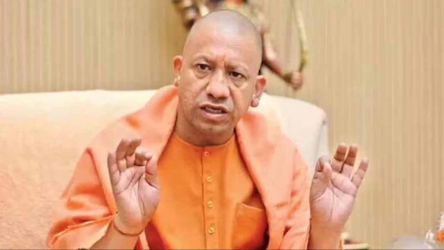 yogi_new-3.jpg