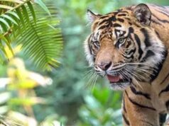 बिहार में इको-टूरिज्म को मिलेगा बड़ा विस्तार, 70 पर्यटन स्थलों का लक्ष्य तय