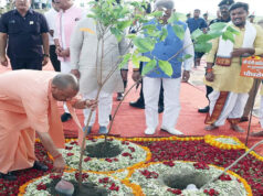 गोरखपुर से पौधरोपण महायज्ञ का शुभारंभ करेंगे मुख्यमंत्री योगी
