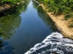 नजफगढ़ ड्रेन का गंदा पानी साफ करने को सरकार बनाएगी 29 नए डीएसटीपी प्लांट जल्द