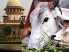 तमिलनाडु में गौहत्या मामले पर सुप्रीम कोर्ट का बड़ा फैसला, HC के आदेश पर रोक हटाई, राज्य सरकार को राहत