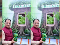 आज लगाया गया हर पौधा आने वाली पीढ़ियों के सुरक्षित भविष्य का आधार बनेगा : मुख्यमंत्री विष्णुदेव साय