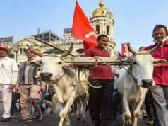आठ दिन में समाधान नहीं हुआ तो कलेक्ट्रेट पर धरना देंगे किसान, कलेक्टर दिया चेतावनी भरा आवेदन