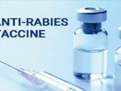 झारखंड का लक्ष्य 2030 तक रैबीज मौतें शून्य करना, तैयार हुई नई कार्ययोजना