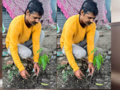 इंदौर संभागीय अध्यक्ष ओम प्रकाश ठाकुर ने आम के वृक्ष देवास में लगाए
