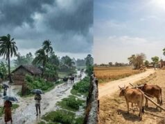बिहार में मौसम के दो रंग, उत्तर में बारिश तो पटना में उमस भरी गर्मी
