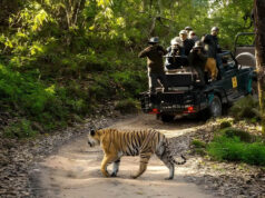 वन, वन्यजीव और पर्यावरण कानूनों के प्रभावी क्रियान्वयन के लिए न्यायिक एवं प्रशासनिक समन्वय ज़रूरी