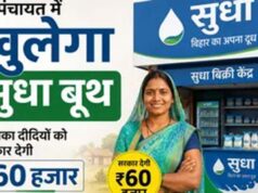 बिहार की जीविका दीदियों को मिलेगा सुधा बूथ, रोजगार के अवसर बढ़ेंगे