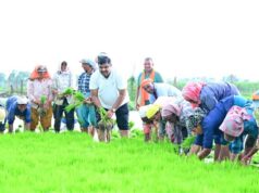 कृषि कार्यों में शामिल हुए शिक्षा मंत्री गजेन्द्र यादव