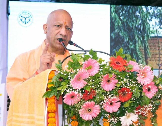 Yogi_01.jpg