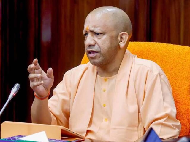 cm_yogi_12-3.jpg