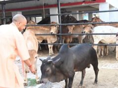 योगी सरकार पशुओं के लिए बनाएगी अत्याधुनिक सुविधाओं से लैस अस्पताल