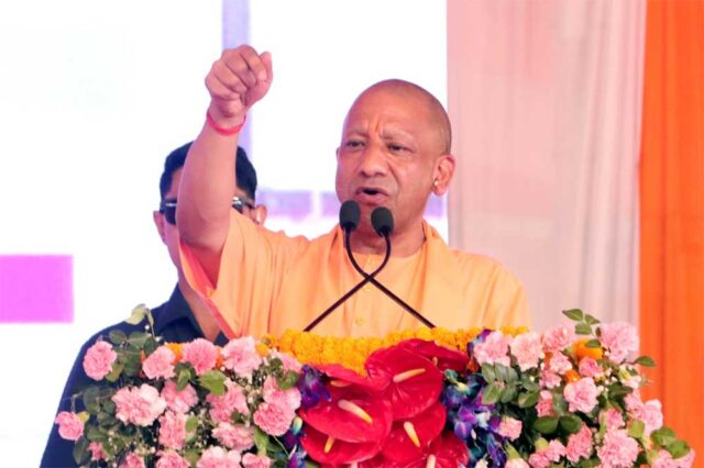 yOGI_01-25.jpg