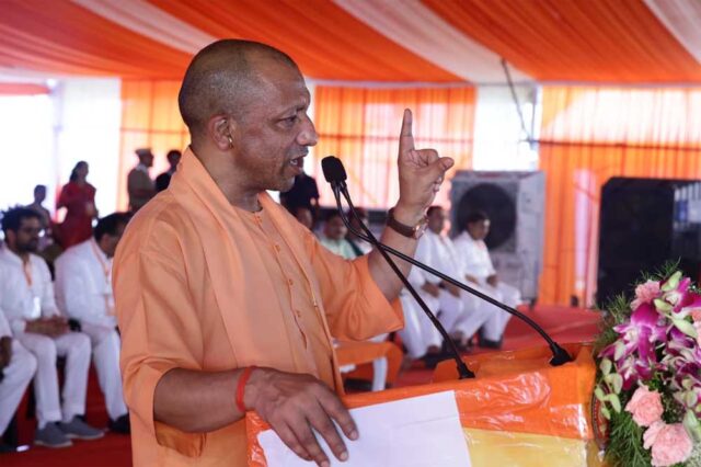 yOGI_03-12.jpg