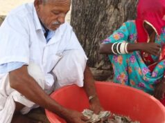 चोरों से बचाने खेत में दबाए पांच लाख, दीमक ने 75 फीसदी नोट किए बर्बाद