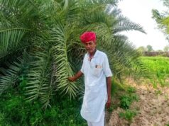 बाड़मेर में जैविक खेती का कमाल, पूर्व सरपंच कमा रहे सालाना 20-25 लाख रुपये