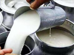 सवाई माधोपुर में दूध के बढ़े दाम, 1 सितंबर से 80 रुपये लीटर बेचने पर सहमति
