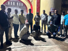 हाथीदांत तस्करी पर वन विभाग की बड़ी कार्रवाई