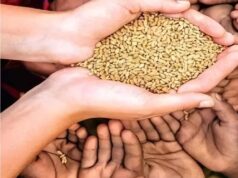 राजस्थान में राशन वितरण पर संकट! 4 सितंबर के बाद खराब हुई POS मशीन तो नहीं मिलेगा गेहूं