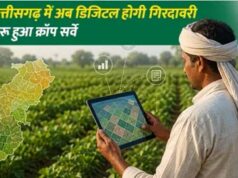 CG में खेतों के डिजिटल रिकॉर्ड से बदलेगी कृषि व्यवस्था, किसानों को मिलेगा फायदा