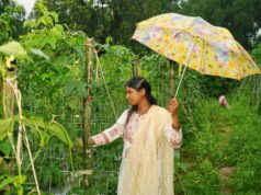 ड्रिप विधि से सब्जी की खेती ने बनाया ‘लखपति दीदी’, सालाना डेढ़ लाख की कमाई
