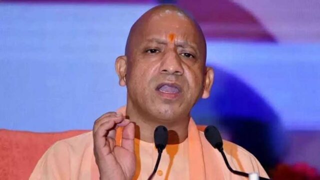 YOGI3333333.jpg