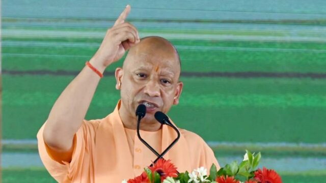 cm_yogi_11-7.jpg