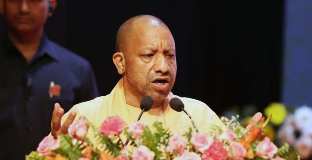 yogi_0_2_2-1.jpg
