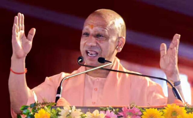 yogi_102_2-4.jpg
