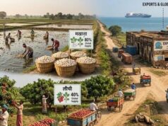 बिहार का निर्यात 18,713 करोड़ पर पहुंचा, मखाना-लीची के बावजूद हिस्सेदारी 0.48%