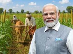 झारखंड को बंजर भूमि विकास के लिए मिलेंगे ₹20 करोड़, मिलेट्स की खेती को मिलेगा बढ़ावा
