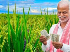 PM Kisan 24वीं किस्त का इंतजार, झारखंड के 19.97 लाख किसानों को अक्टूबर में मिल सकता है पैसा