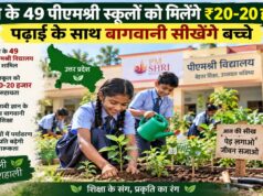 यूपी के 49 पीएमश्री स्कूलों को मिलेंगे ₹20-20 हजार, पढ़ाई के साथ बागवानी सीखेंगे बच्चे